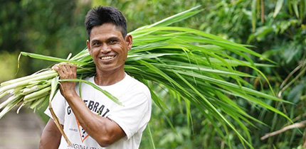 Peatland project Indonesia