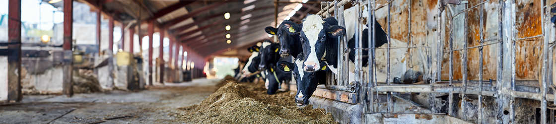 Ventilation in the agricultural industry