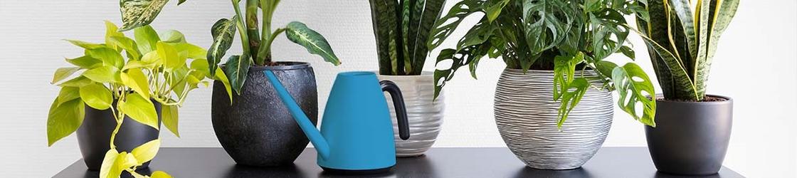 Why is humidity important?