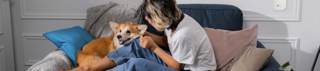 What is a particulate matter sensor?